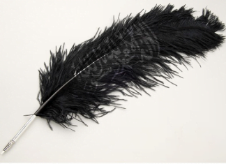 Die Feder der Islamischen Revolution und die „israelische Frage“