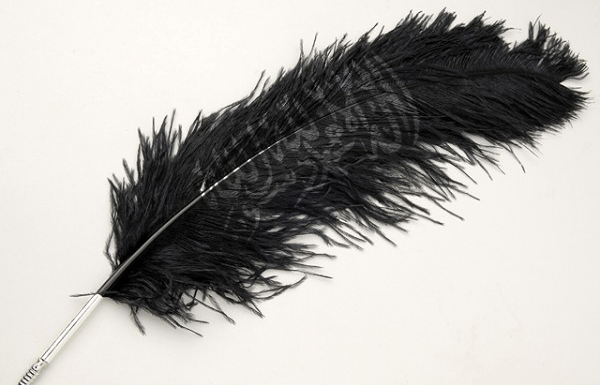 Die Feder der Islamischen Revolution und die „israelische Frage“