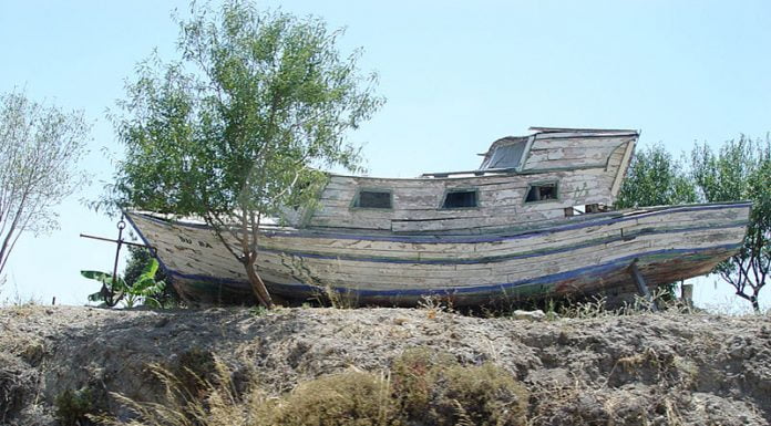 Auf ein Wort – Innenansichten aus Erdoganistan