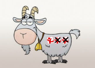 Männer, die auf Ziegen sparen