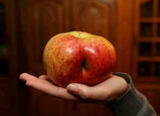 Deine Meinung, dieses Arschloch!