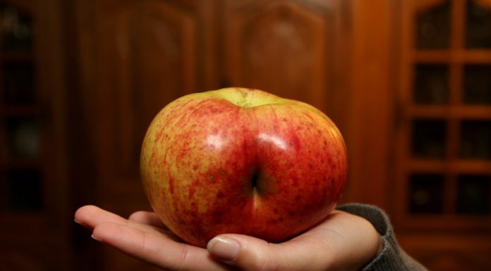 Deine Meinung, dieses Arschloch!