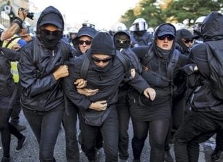 „Ode an die Freude“, Feuer an der Elbe