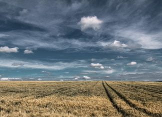 Deutschland und Südafrika – over, the Rainbow!