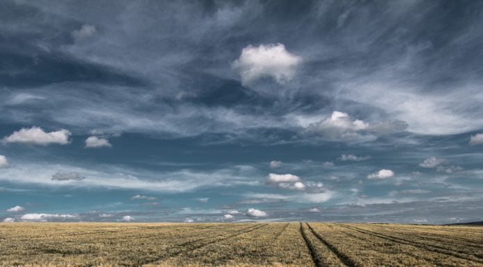 Deutschland und Südafrika – over, the Rainbow!