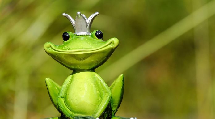 Ein bisschen Irre, ein bisschen Prinz Charming – die Grünen im Umfragehoch