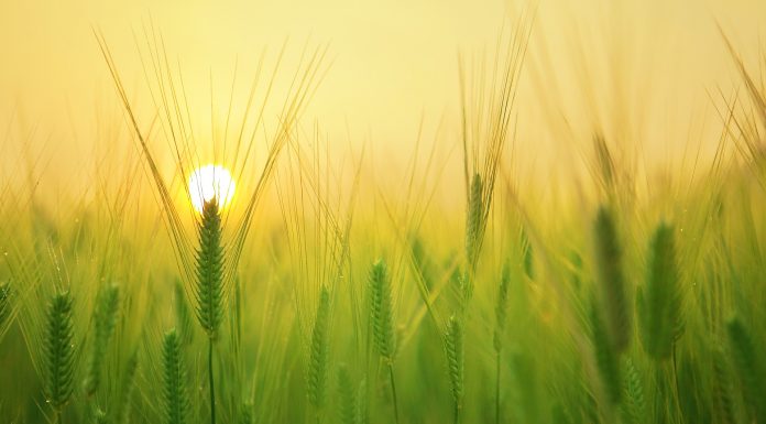 Klimawandel – was ist zu tun? Ein etwas anderes Fazit der COP24