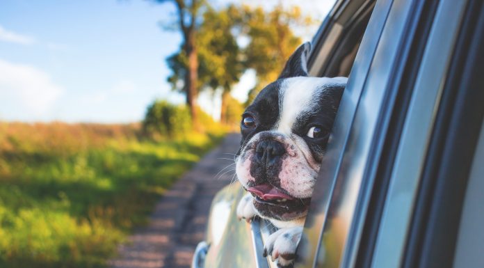 Tempolimits und andere Gerechtigkeiten in Wendezeiten