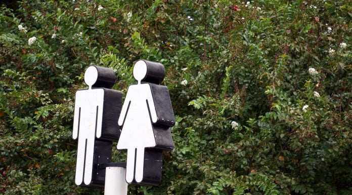 Chancengleichheit – Freie Menschen folgen Neigungen, nicht Ideologien