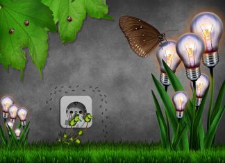 Ökostrom verbrauchen oder sparen – ja was denn nun?