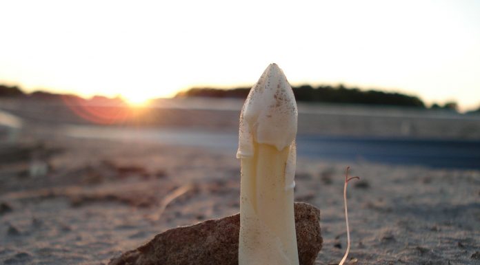 Spargel abstechen beim Spiegel