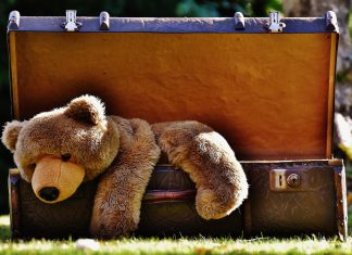 Enteignung in Berlin oder: Goldman-Sachs, BMW, ein Koffer und der würzige Duft von „Ragout Fin“