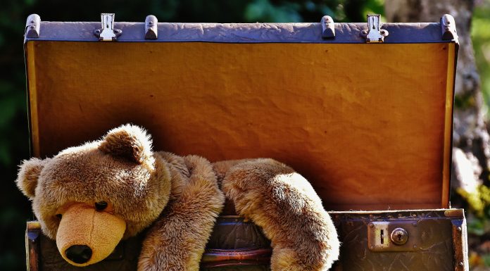 Enteignung in Berlin oder: Goldman-Sachs, BMW, ein Koffer und der würzige Duft von „Ragout Fin“