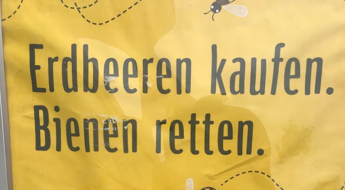 Bienen retten, Erdbeeren kaufen!