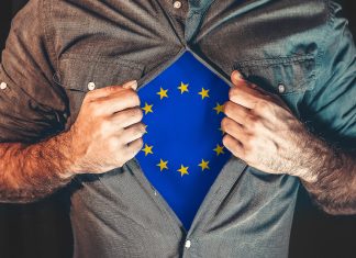 Europawahl: meine Stimme für die europäischen Einheitsfront? Und was machen Sie am Tag der Europawahl?