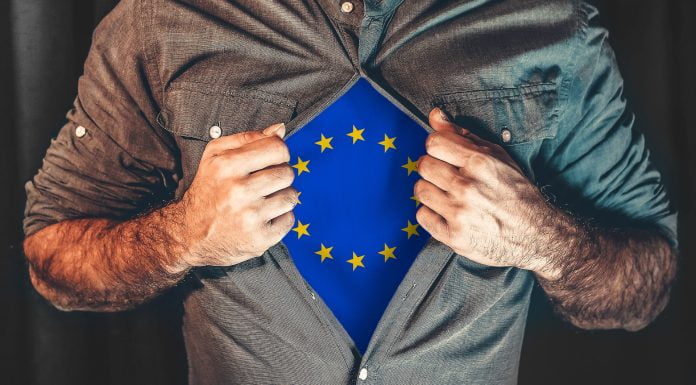 Europawahl: meine Stimme für die europäischen Einheitsfront? Und was machen Sie am Tag der Europawahl?