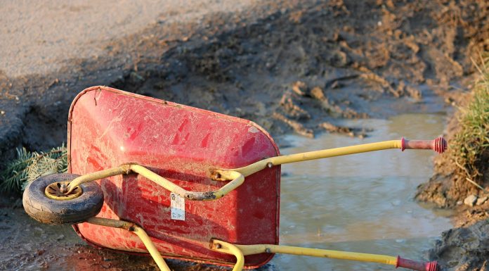 CDU: Annegret fürchtet, nicht Greta genug zu sein Annegret ist nicht Greta genug