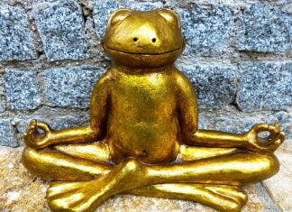 Frosch, sei wachsam! Schiefe Metaphern zur Klimarettung