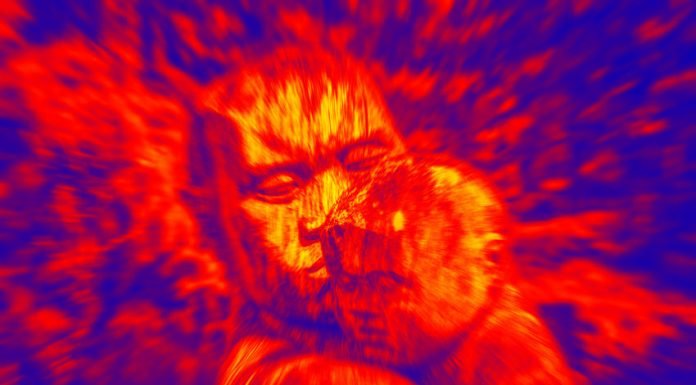 Die unvollkommene Gesellschaft – Die ZEIT und der Kommunismus