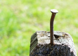 Ein Pokerspiel um Hockeystick und Klimakatastrophe