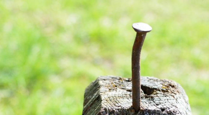 Ein Pokerspiel um Hockeystick und Klimakatastrophe