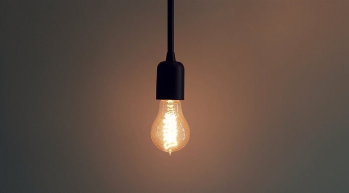 Claudia Kemfert als Herold der Heruler