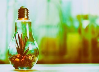 Unsinn gegen Sinn – Ingrid Nestle erklärt die Energiewende