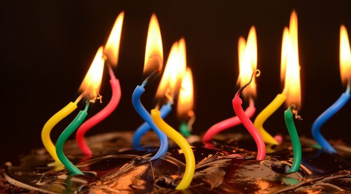 20 Jahre EEG – feiern mit Claudia Kemfert