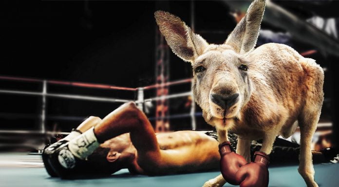 Bester Politik-Journalist 2020: And the Winner is…