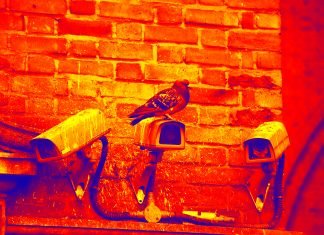 Wir hätten da mal einen Anfangsverdacht