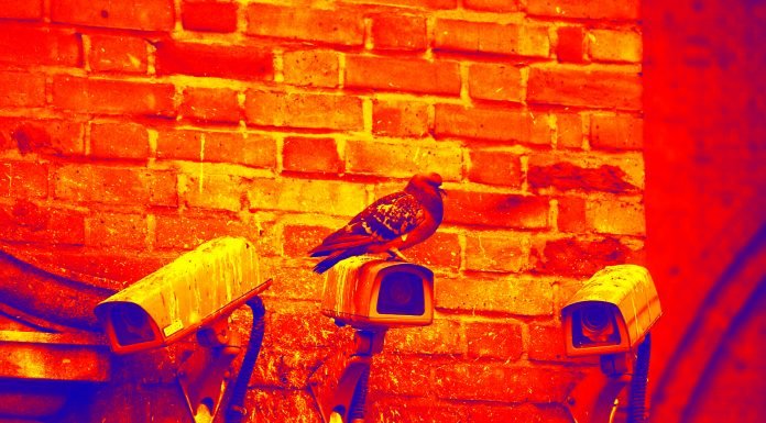 Wir hätten da mal einen Anfangsverdacht