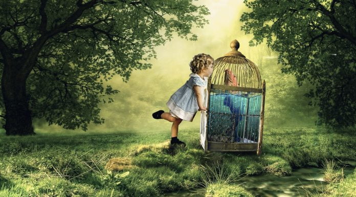 Tod durch Hydroxychloroquine und Trump – ich habe da nur noch eine Frage…