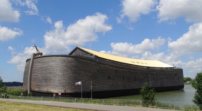 Arche C19 – Brücke an Maschinenraum