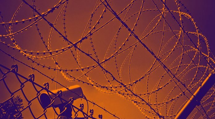 Der Erfolg der Corona-Warn-App oder die Tribute von Dorothee Bär