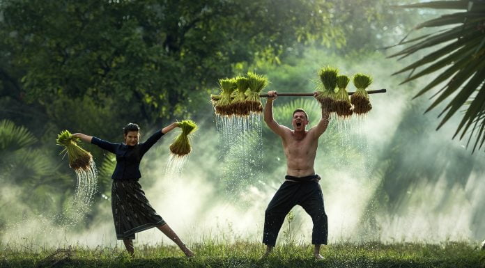 Uncle Ben’s gelingt nicht mehr