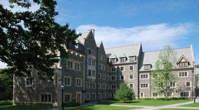 Rassismus: Wenn man „Wolf“ schreit und dann der Jäger kommt