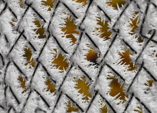 Das Lächeln der Kamala Harris