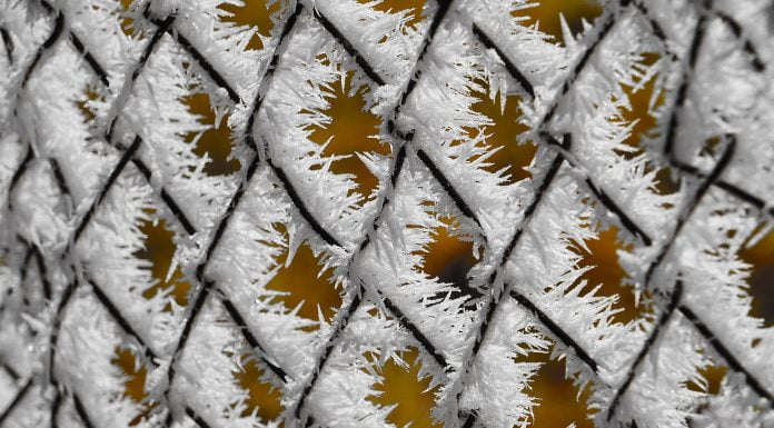 Das Lächeln der Kamala Harris