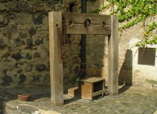 Ökozid – ihre Gebühren bei der Erziehungsarbeit