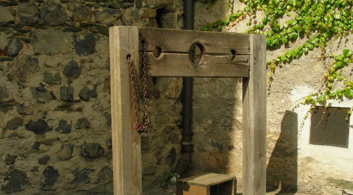 Ökozid – ihre Gebühren bei der Erziehungsarbeit