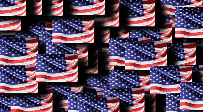 Senat zwischen Baum und Borke