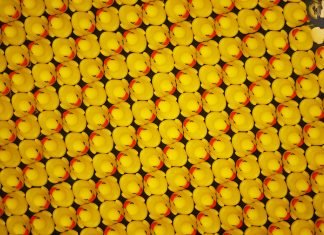 Normal ist das nicht – von Menschen mit Nazihintergrund