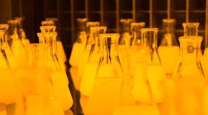 Der Deutsche forscht nicht, er glaubt den Grünen Forschung