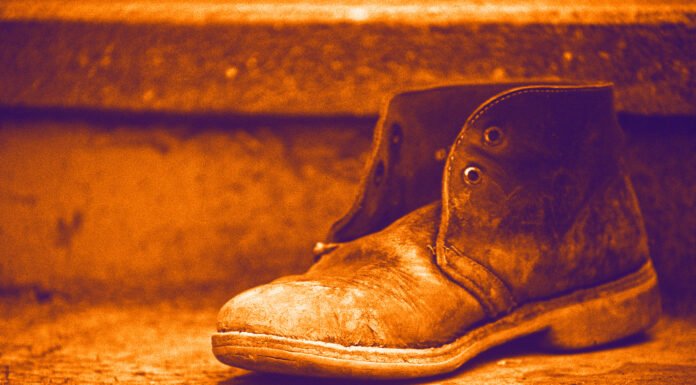 Der grüne Weg in die kollektive Knechtschaft