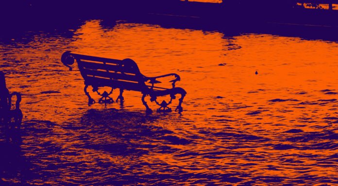 Die Übermorgenretter sind Heuteschläfer