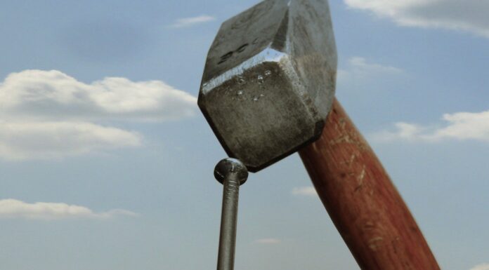 Alexander Grau über die Tribunalisierung des Alltags