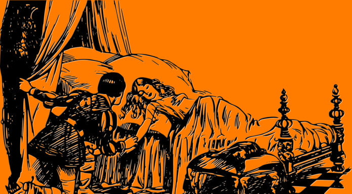 Corona, Dornröschen und die Wut von Wolfgang Schäuble