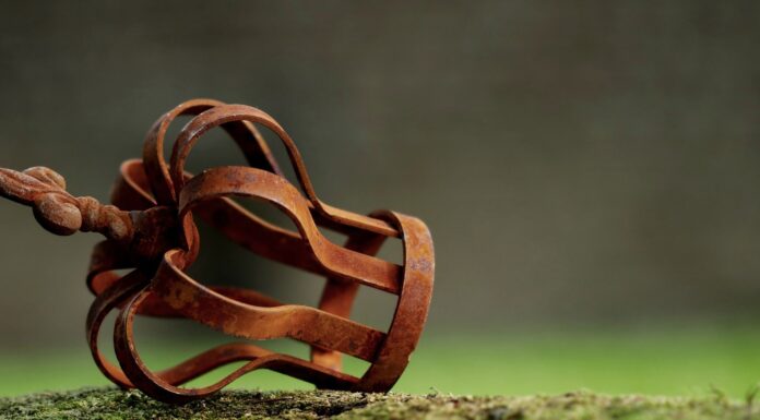 Nikolaus Blome, Stilberater der Bundesregierung