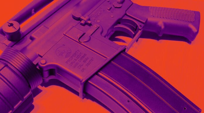 Der medial indoktrinierende Komplex