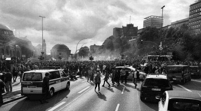 Die Polizei zwischen Baum und Borke